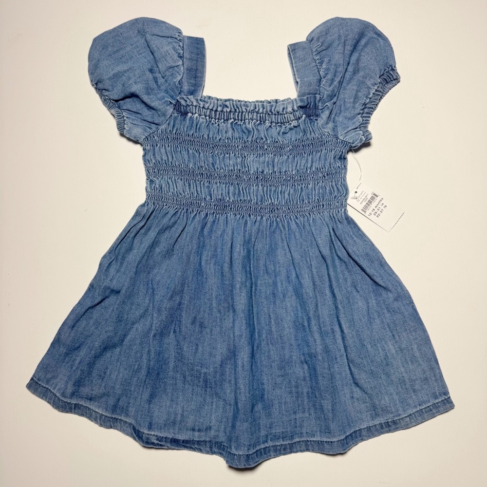 Baby GAP Chambray Smocked Dress